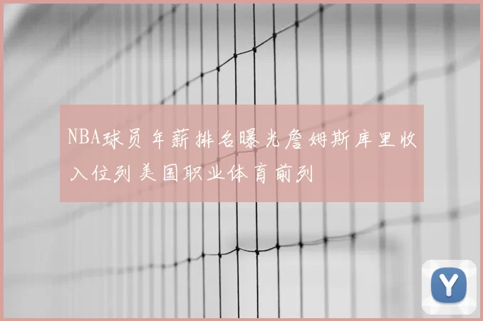 NBA球员年薪排名曝光詹姆斯库里收入位列美国职业体育前列